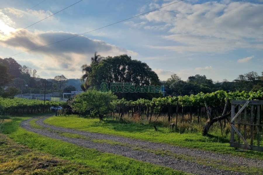 Chácara com 115365m², no bairro Monte Bérico em Caxias do Sul para Comprar