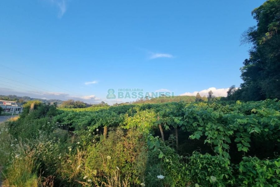 Chácara com 115365m², no bairro Monte Bérico em Caxias do Sul para Comprar