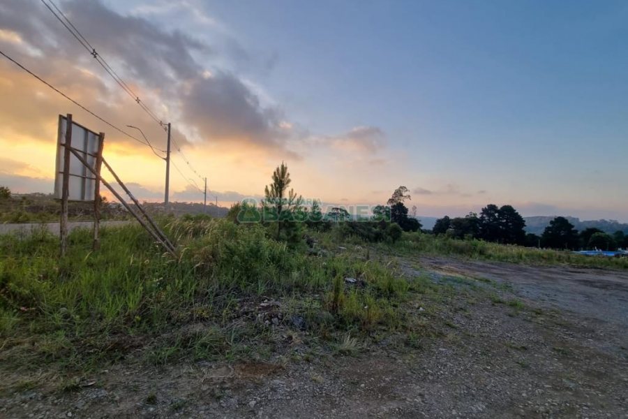 Terreno com 12250m², no bairro São Giácomo em Caxias do Sul para Comprar