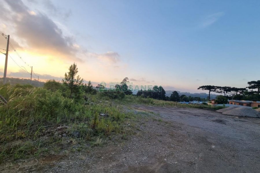 Terreno com 12250m², no bairro São Giácomo em Caxias do Sul para Comprar