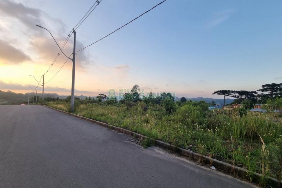 Terreno com 12250m², no bairro São Giácomo em Caxias do Sul para Comprar