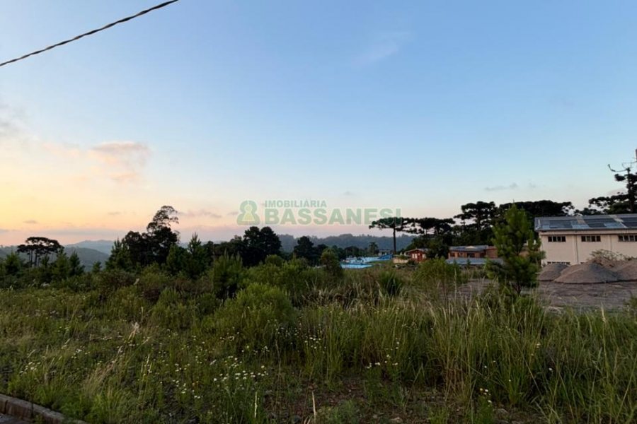 Terreno com 12250m², no bairro São Giácomo em Caxias do Sul para Comprar