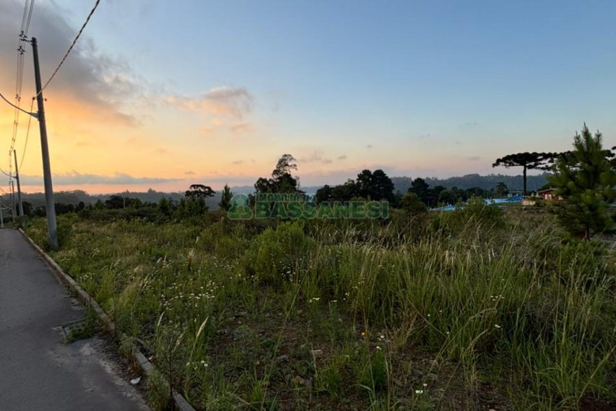 Terreno com 12250m², no bairro São Giácomo em Caxias do Sul para Comprar