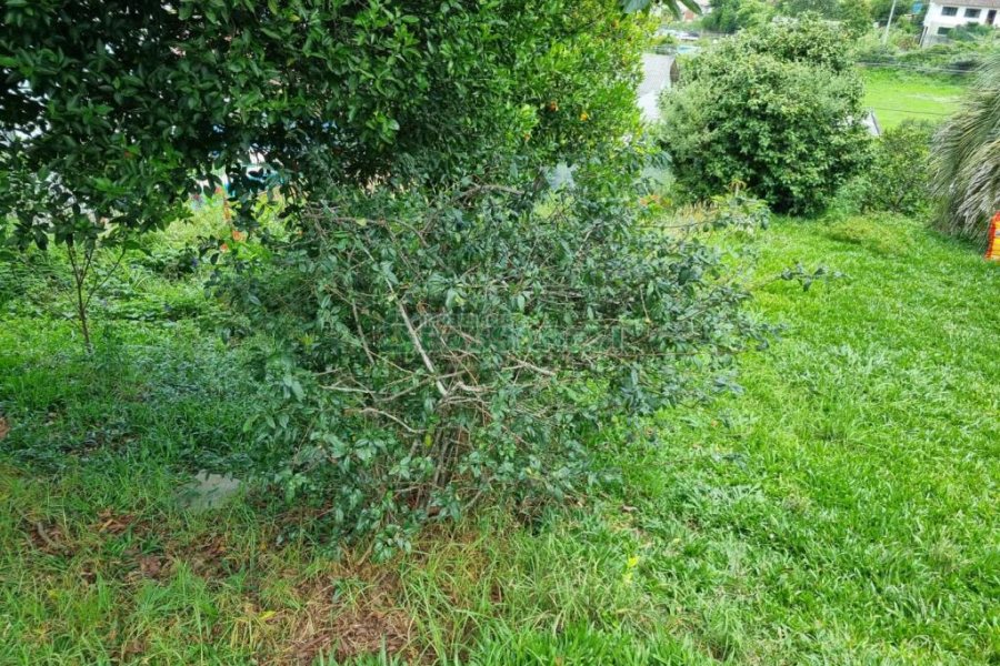 Terreno com 387m², no bairro Sanvitto em Caxias do Sul para Comprar