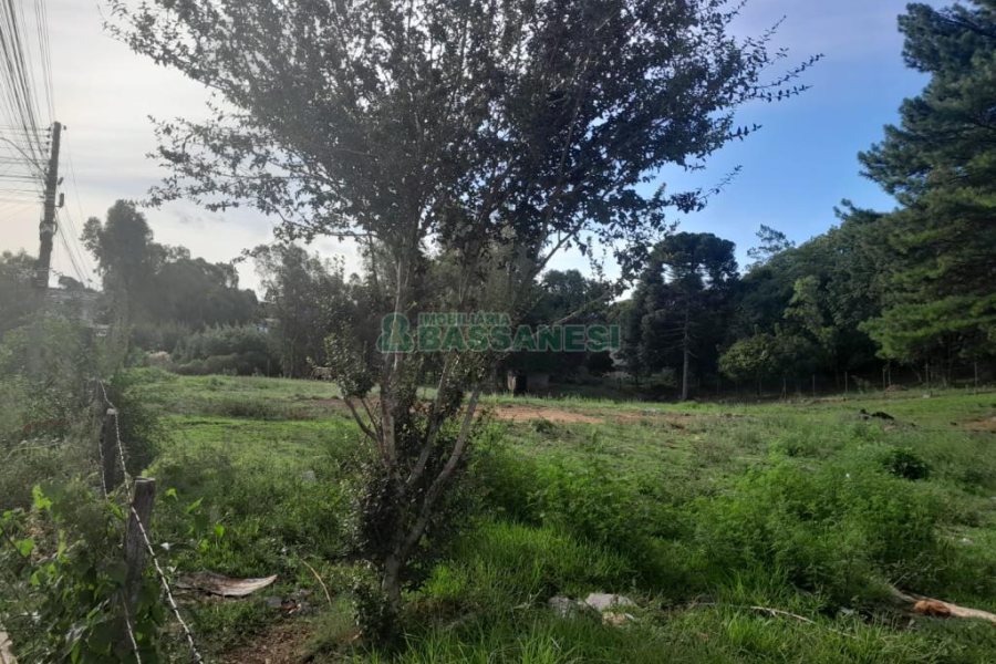 Terreno com 4700m², no bairro De Zorzi em Caxias do Sul para Comprar