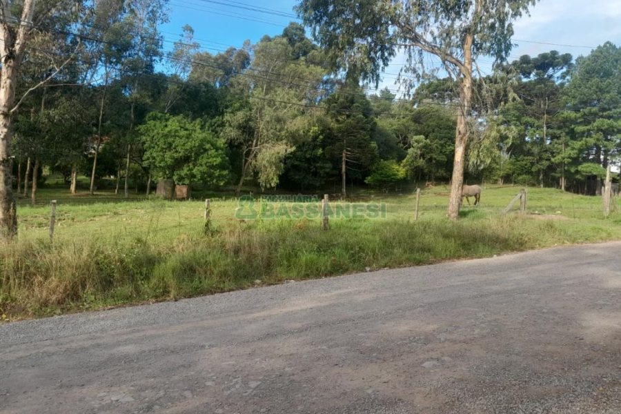Terreno com 4700m², no bairro De Zorzi em Caxias do Sul para Comprar