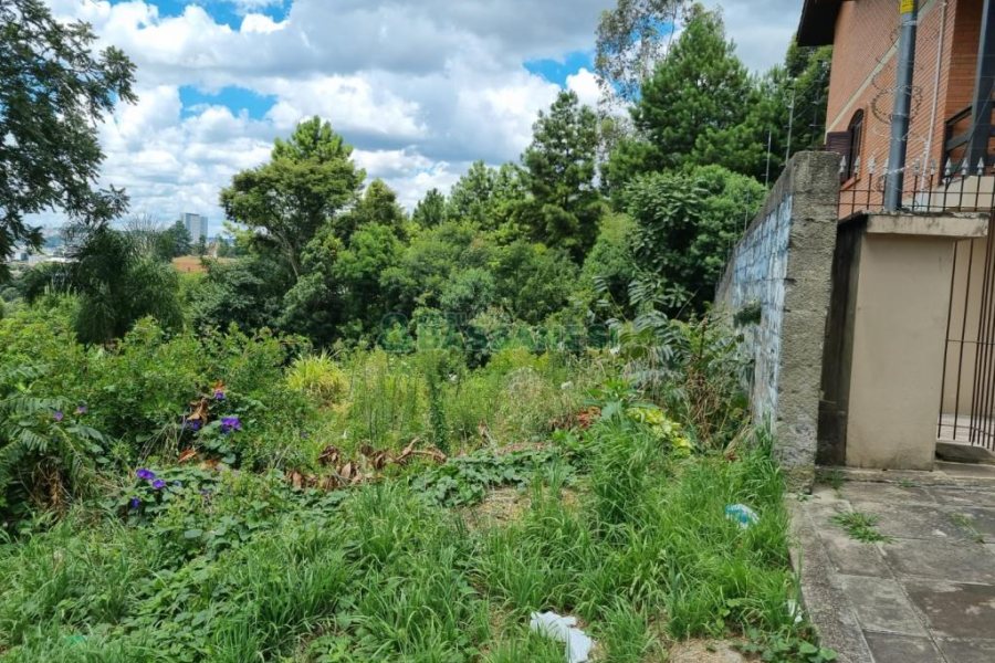 Casa com 120m², 4 dormitórios, 2 vagas, no bairro São Luiz em Caxias do Sul para Comprar