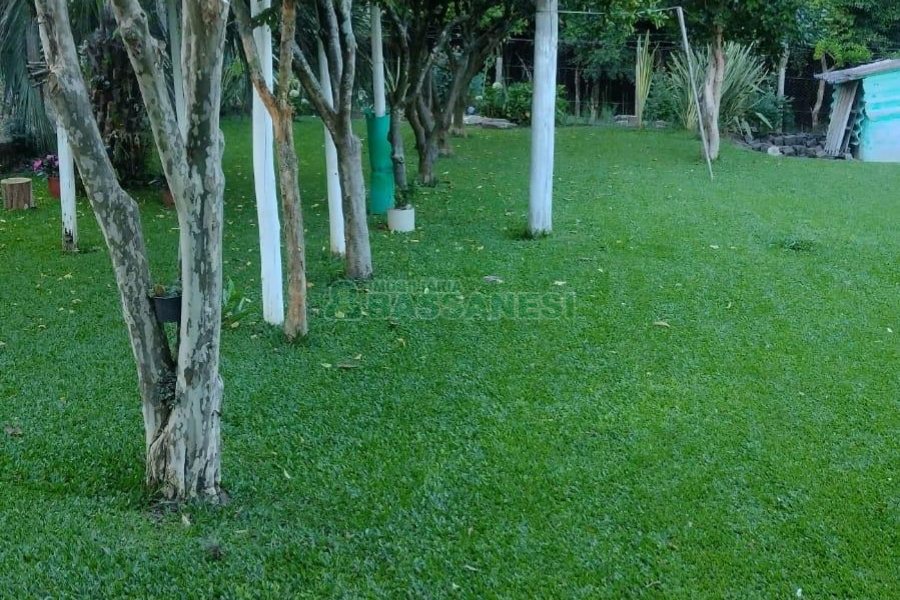 Casa com 116m², 3 dormitórios, 2 vagas, no bairro Vinhedos em Caxias do Sul para Comprar