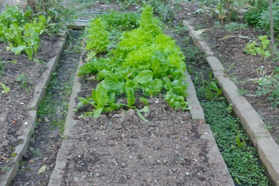 Casa com 116m², 3 dormitórios, 2 vagas, no bairro Vinhedos em Caxias do Sul para Comprar