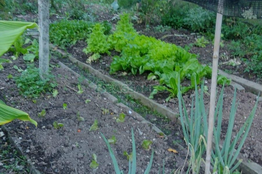 Casa com 116m², 3 dormitórios, 2 vagas, no bairro Vinhedos em Caxias do Sul para Comprar