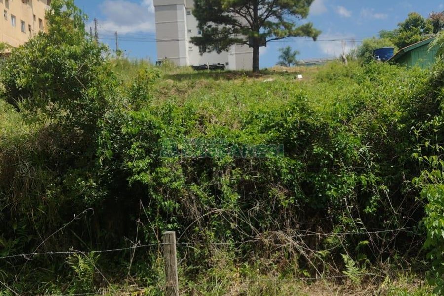 Terreno com 360m², no bairro Industrial em Caxias do Sul para Comprar