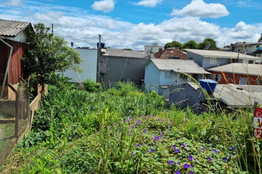 Terreno com 356m², no bairro Sagrada Família em Caxias do Sul para Comprar
