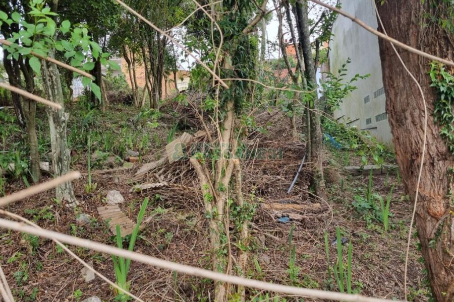 Terreno com 336m², no bairro Cinqüentenário em Caxias do Sul para Comprar