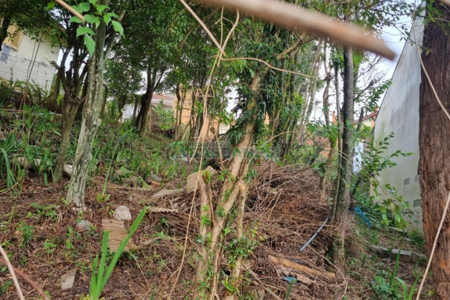 Terreno com 336m², no bairro Cinqüentenário em Caxias do Sul para Comprar
