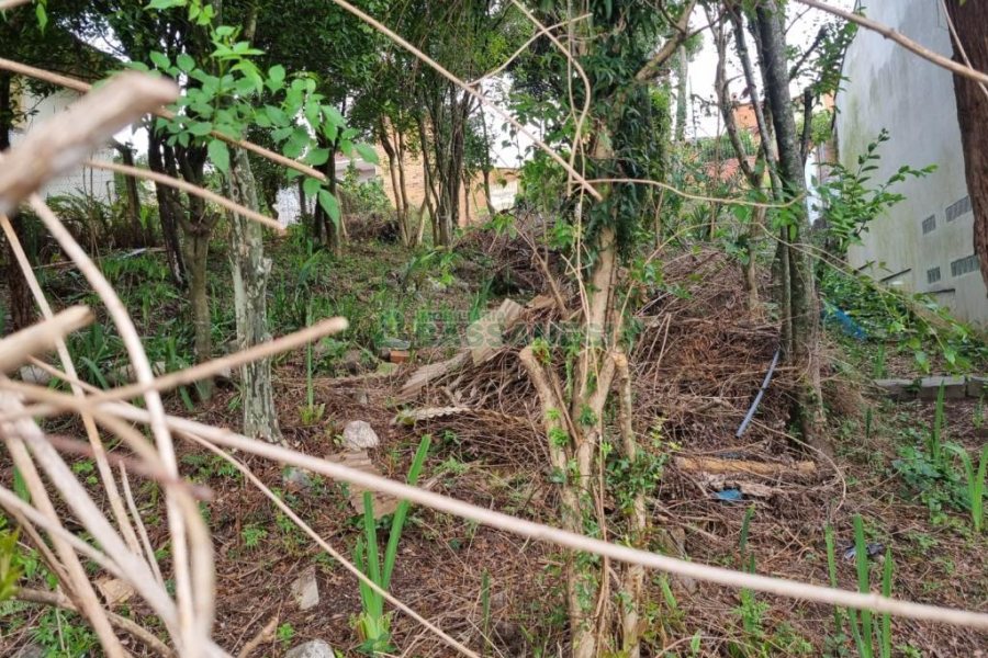 Terreno com 336m², no bairro Cinqüentenário em Caxias do Sul para Comprar