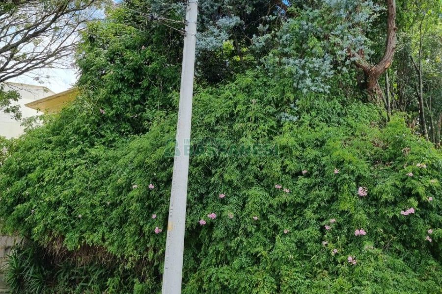 Terreno com 336m², no bairro Cinqüentenário em Caxias do Sul para Comprar