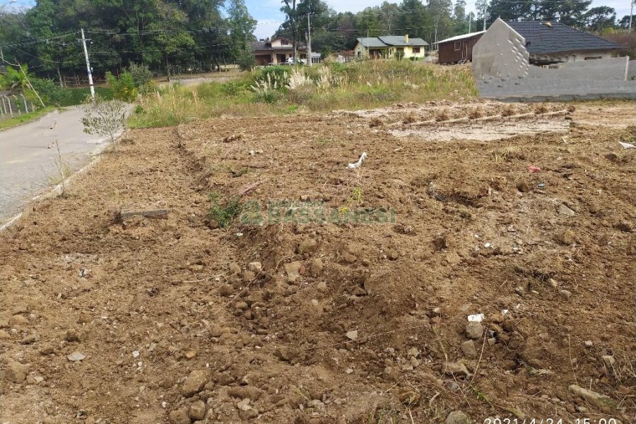 Terreno, no bairro São Caetano em Caxias do Sul para Alugar