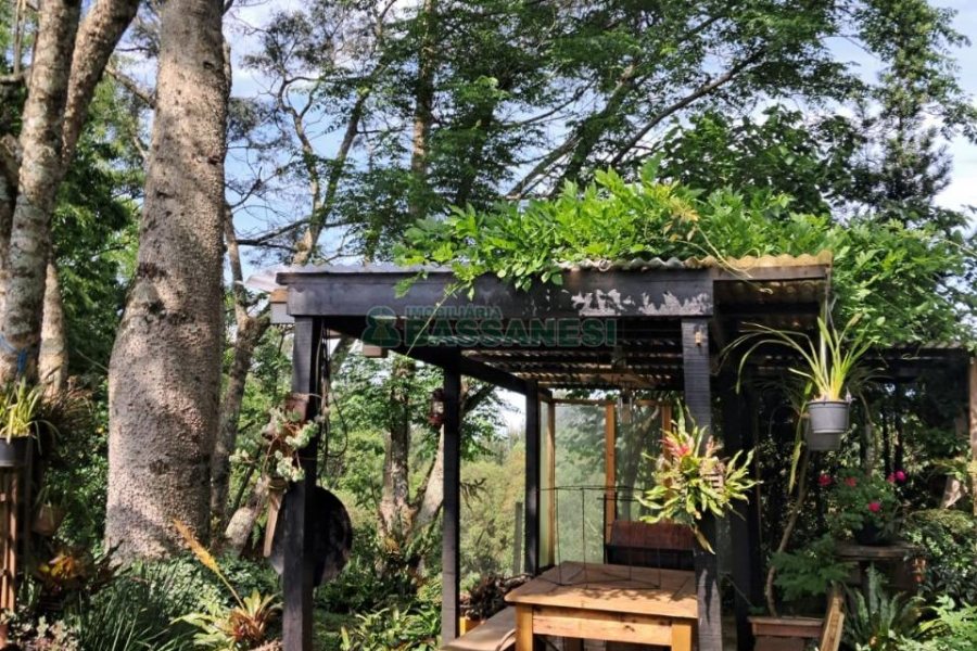 Casa com 211m², 3 dormitórios, 2 vagas, no bairro Linha 40 em Caxias do Sul para Comprar