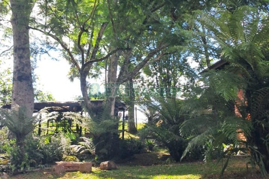 Casa com 211m², 3 dormitórios, 2 vagas, no bairro Linha 40 em Caxias do Sul para Comprar