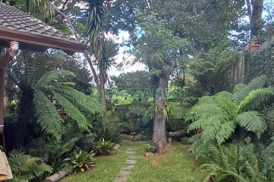 Casa com 211m², 3 dormitórios, 2 vagas, no bairro Linha 40 em Caxias do Sul para Comprar