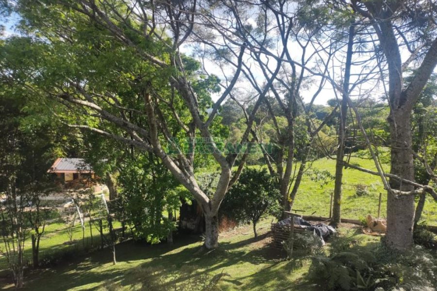 Casa com 211m², 3 dormitórios, 2 vagas, no bairro Linha 40 em Caxias do Sul para Comprar