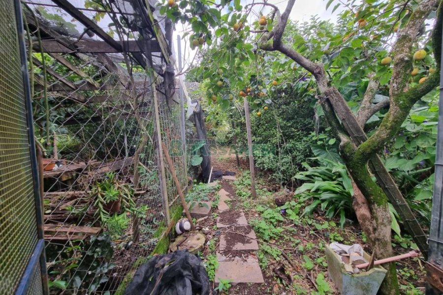 Casa com 250m², 3 dormitórios, 2 vagas, no bairro Bela Vista em Caxias do Sul para Comprar