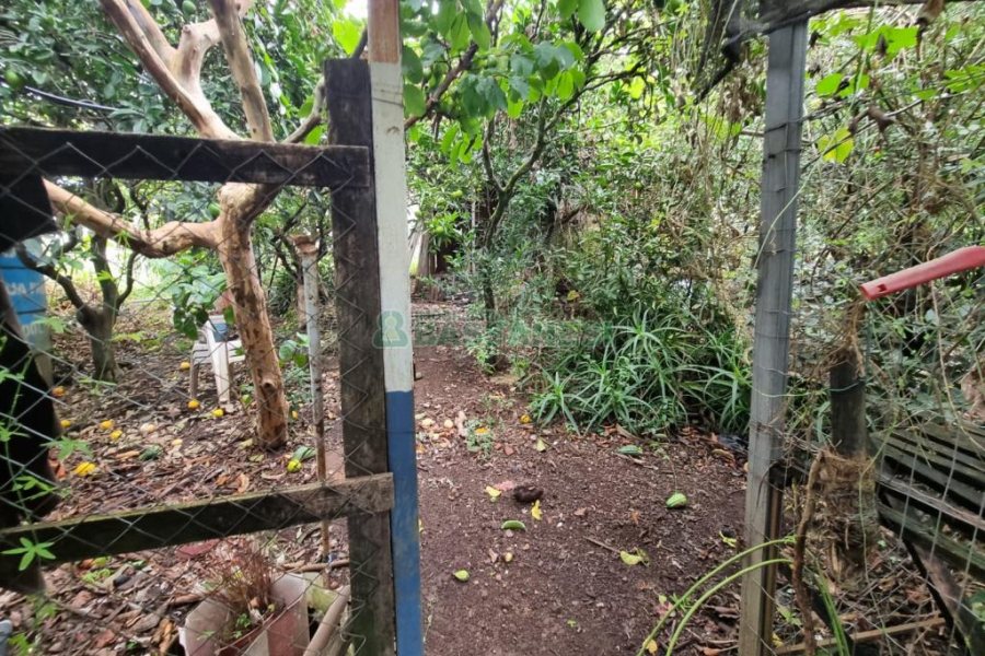 Casa com 250m², 3 dormitórios, 2 vagas, no bairro Bela Vista em Caxias do Sul para Comprar