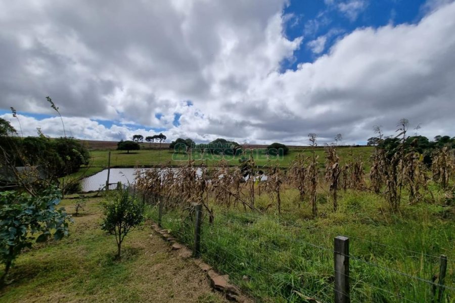 Chácara com 250m², 3 dormitórios, no bairro Criúva em Caxias do Sul para Comprar