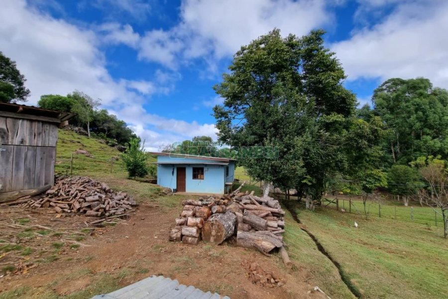 Chácara com 250m², 3 dormitórios, no bairro Criúva em Caxias do Sul para Comprar