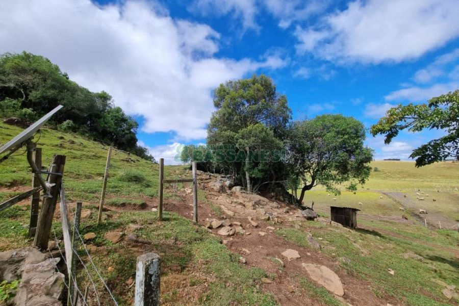 Chácara com 250m², 3 dormitórios, no bairro Criúva em Caxias do Sul para Comprar