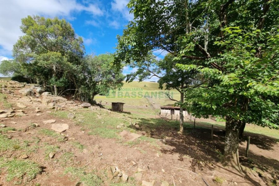 Chácara com 250m², 3 dormitórios, no bairro Criúva em Caxias do Sul para Comprar