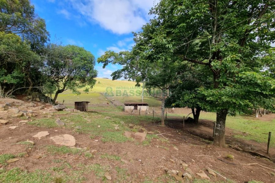 Chácara com 250m², 3 dormitórios, no bairro Criúva em Caxias do Sul para Comprar