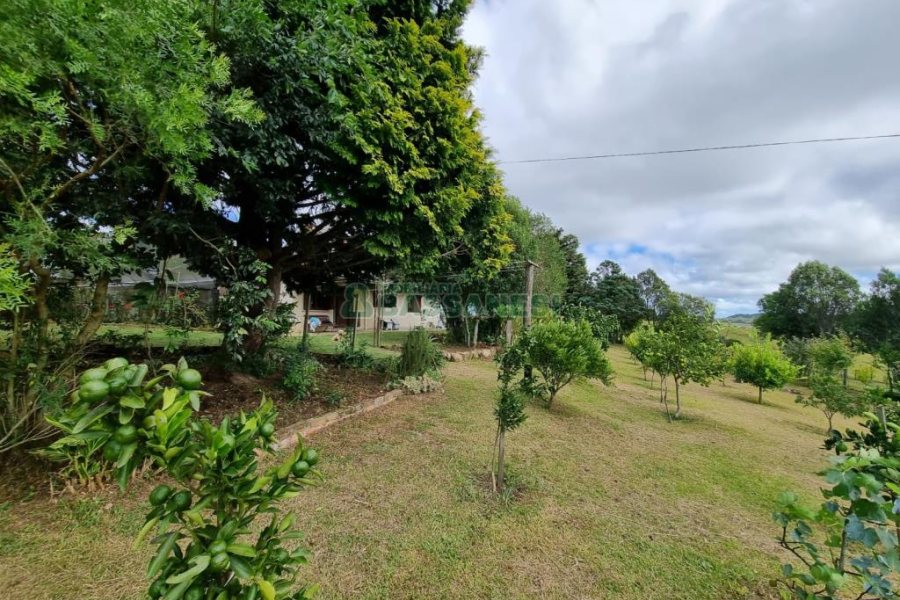 Chácara com 250m², 3 dormitórios, no bairro Criúva em Caxias do Sul para Comprar