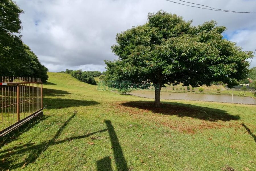 Chácara com 250m², 3 dormitórios, no bairro Criúva em Caxias do Sul para Comprar