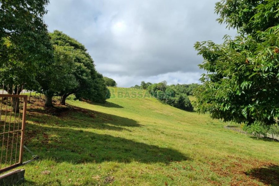 Chácara com 250m², 3 dormitórios, no bairro Criúva em Caxias do Sul para Comprar