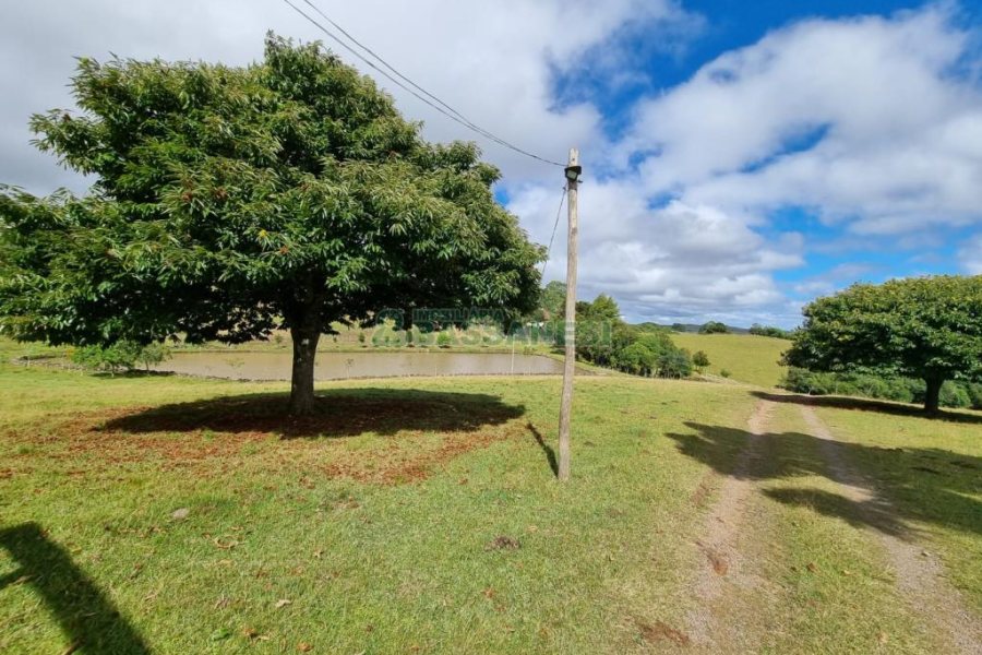 Chácara com 250m², 3 dormitórios, no bairro Criúva em Caxias do Sul para Comprar