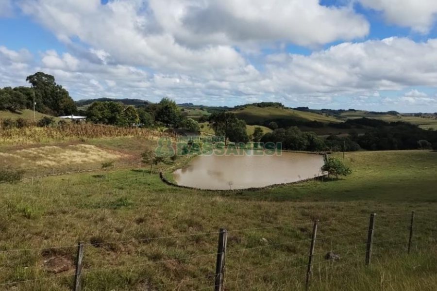 Chácara com 250m², 3 dormitórios, no bairro Criúva em Caxias do Sul para Comprar