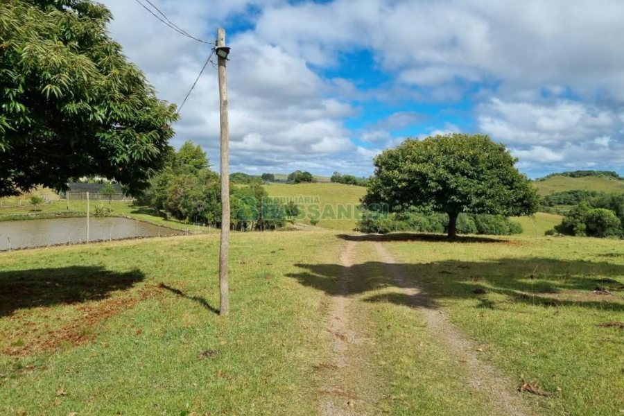 Chácara com 250m², 3 dormitórios, no bairro Criúva em Caxias do Sul para Comprar