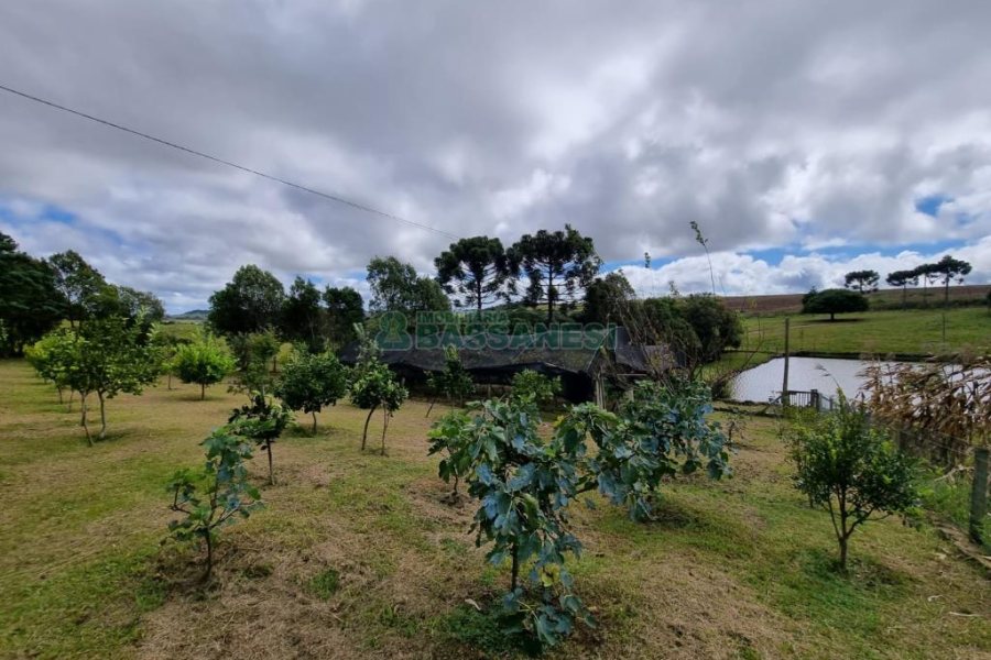 Chácara com 250m², 3 dormitórios, no bairro Criúva em Caxias do Sul para Comprar
