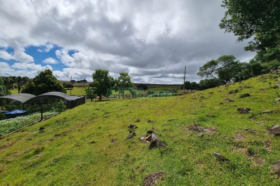 Chácara com 250m², 3 dormitórios, no bairro Criúva em Caxias do Sul para Comprar