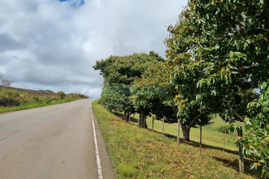 Chácara com 250m², 3 dormitórios, no bairro Criúva em Caxias do Sul para Comprar