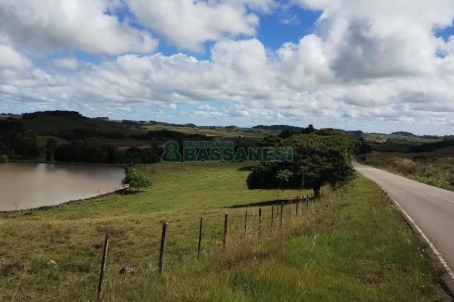 Chácara com 250m², 3 dormitórios, no bairro Criúva em Caxias do Sul para Comprar