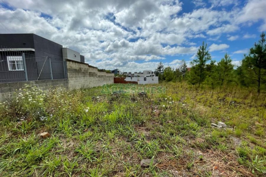 Terreno com 336m², no bairro Bela Vista em Caxias do Sul para Comprar