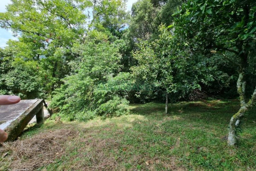 Chácara com 1672m², no bairro Linha 40 em Caxias do Sul para Comprar
