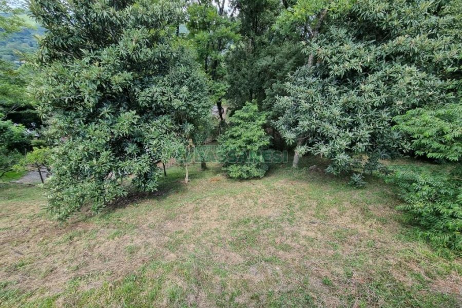 Chácara com 1672m², no bairro Linha 40 em Caxias do Sul para Comprar