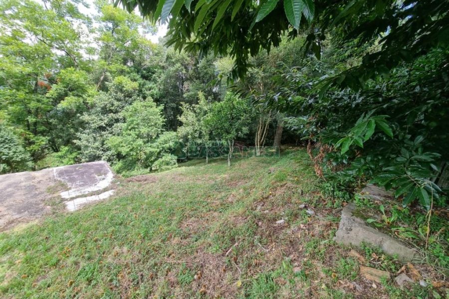 Chácara com 1672m², no bairro Linha 40 em Caxias do Sul para Comprar
