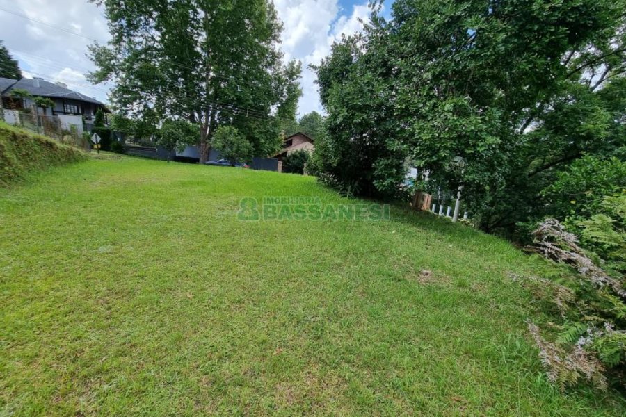 Chácara com 1672m², no bairro Linha 40 em Caxias do Sul para Comprar