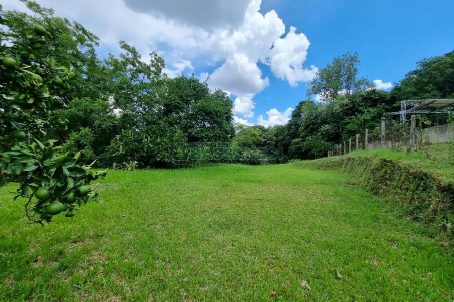 Chácara com 1672m², no bairro Linha 40 em Caxias do Sul para Comprar
