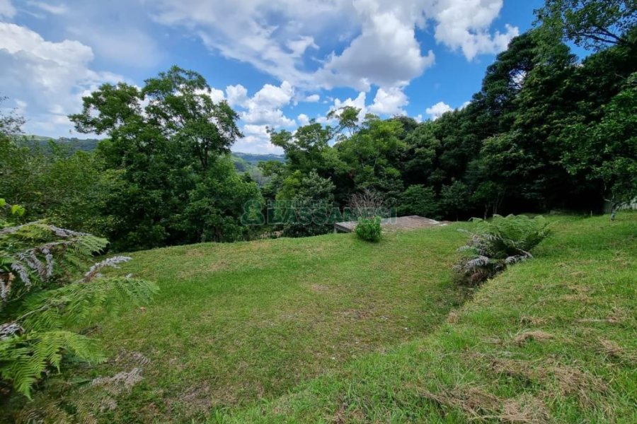 Chácara com 1672m², no bairro Linha 40 em Caxias do Sul para Comprar
