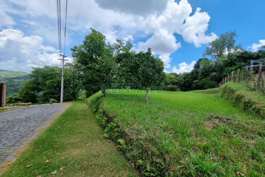 Chácara com 1672m², no bairro Linha 40 em Caxias do Sul para Comprar